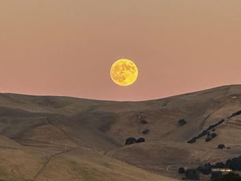 Rebek Base Desert Moon