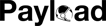 Payload logo