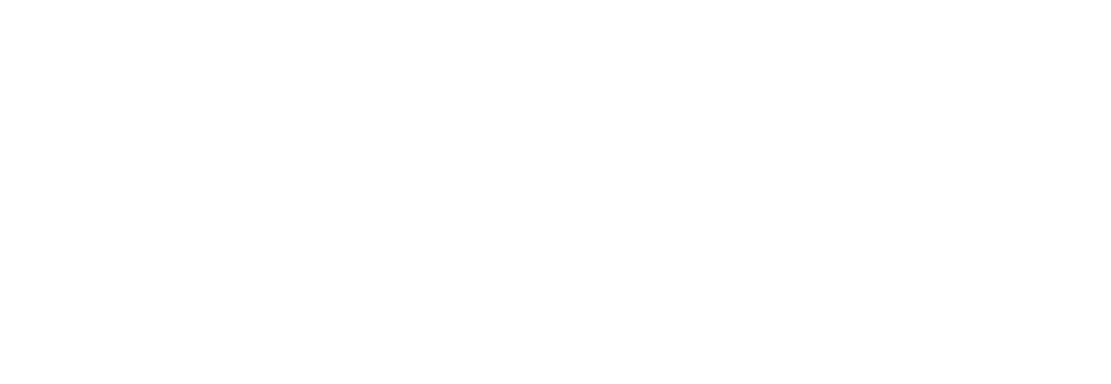 Space Force Association Logo - white