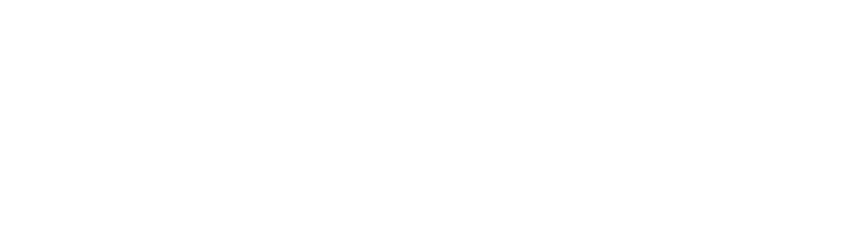 Varda Logo Translucent